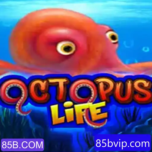 Explorando o Fascinante Mundo de OctopusLife